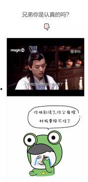 电视搞笑台词,那些让人捧腹大笑的电视台词大盘点