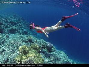 水下泳装照片,探寻时尚与运动的完美融合