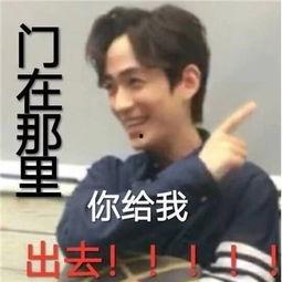 微信明星表情包免费,趣味横生的互动新潮流