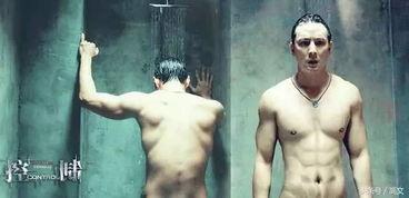 娱乐圈男星卖菊花,揭秘背后真相与争议